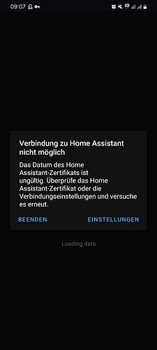 Screenshot_20240111_090728_Home Assistant