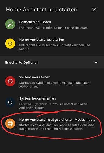 Screenshot_20231218_181452_Home Assistant