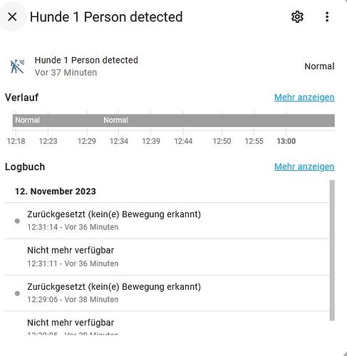 eufy Person