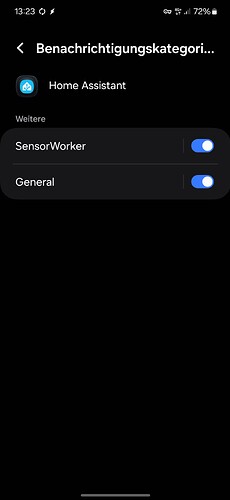 Screenshot_20240130_132322_Settings