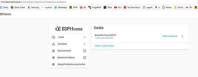 Esp Home Geräte