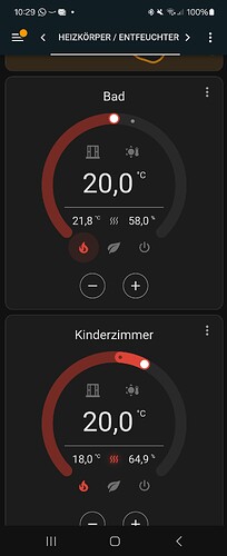 Screenshot_20240127_102930_Home Assistant
