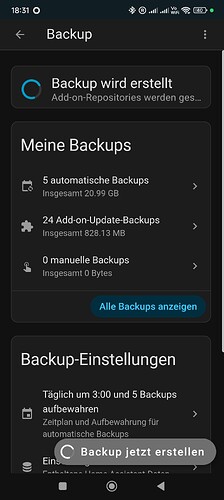 Screenshot_2025-11-04-18-31-20-065_io.homeassistant.companion.android