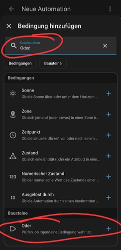 Screenshot_20260208_130521_Home Assistant