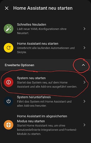 Screenshot_20260127_141315_Home Assistant