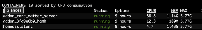 Matter Server beta - CPU Last