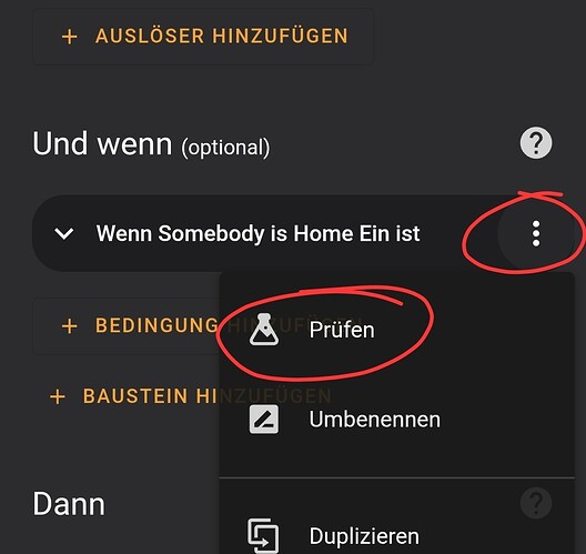 Screenshot_20250531_115550_Home Assistant