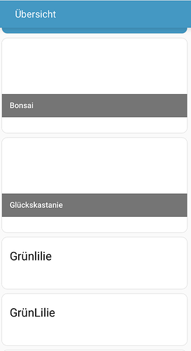 Bildschirmfoto 2025-12-30 um 11.00.50