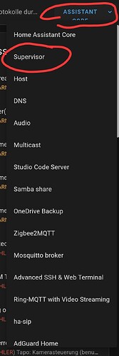 Screenshot_20240229_175822_Home Assistant