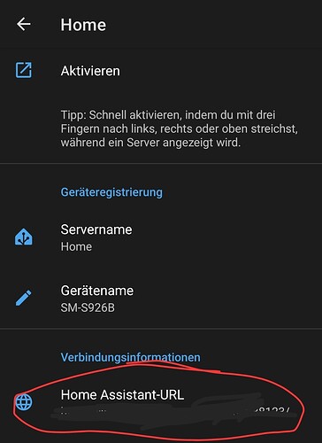 Screenshot_20250703_090414_Home Assistant