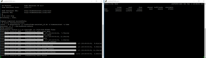 2024-06-01 13_44_42-Window