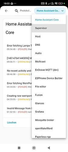 Screenshot_2025-11-13-10-03-49-286_io.homeassistant.companion.android
