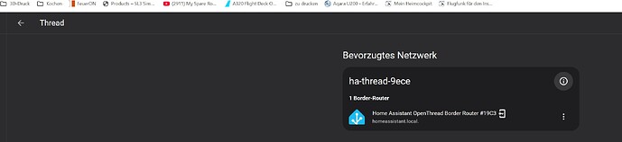 6_Threadnetzwerk Home Assistant