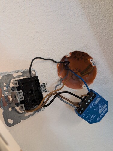 17639853665654600056569969814446