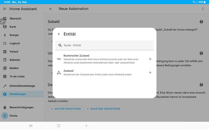Screenshot_20250526_160959_Home Assistant