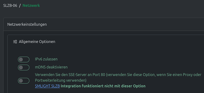 SLZB_Netzwerkeinstellungen