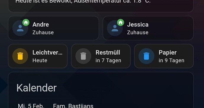 Screenshot_20250205_065645_Home Assistant