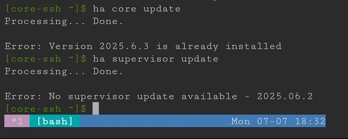 Screenshot_20250707_183258_Home Assistant