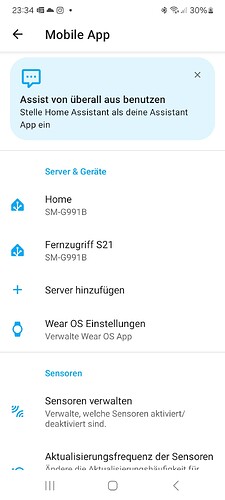 Screenshot_20240911_233411_Home Assistant