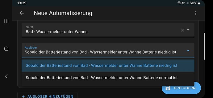 Screenshot_20241230_193903_Home Assistant