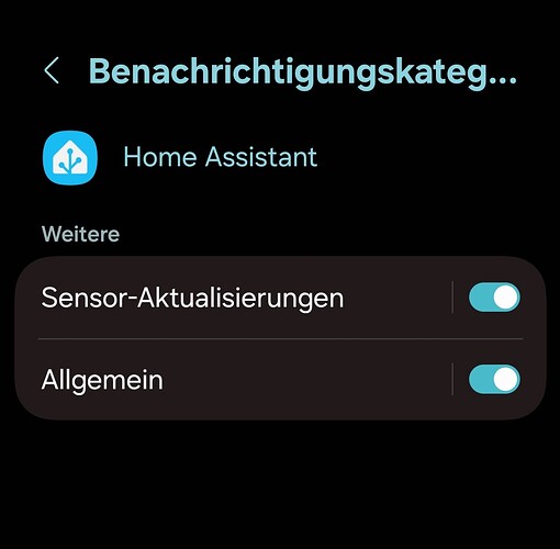 Screenshot_20250414_195911_Settings