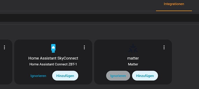 3_Erkennung Integration Home Assistant