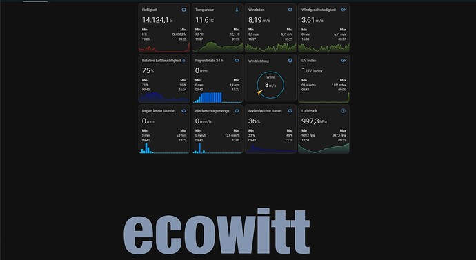 ecowitt