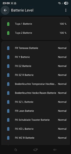 Screenshot_20250912_230054_Home Assistant