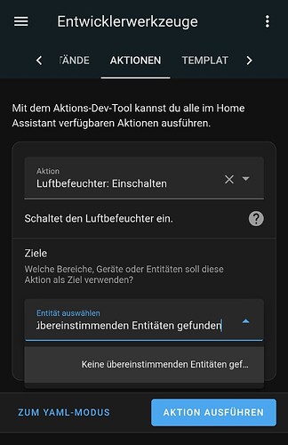 Screenshot_20241024_183053_Home Assistant