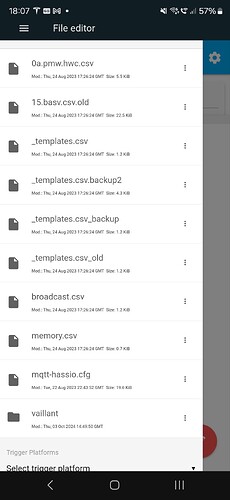 Screenshot_20241028_180741_Home Assistant