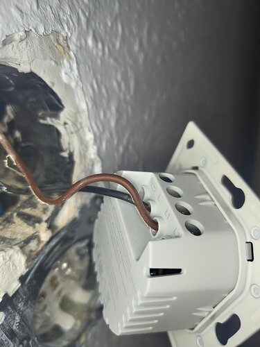 IMG_20251021_083511759