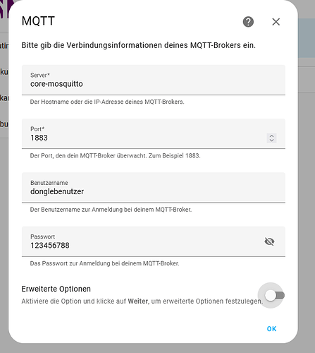 mqttbenutzerdateneingabe