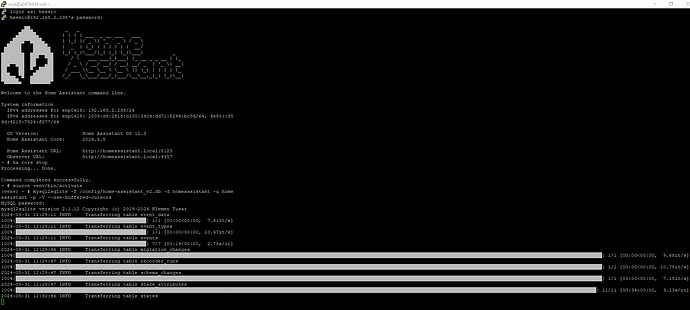 2024-05-31 12_32_10-root@a0d7b954-ssh_~