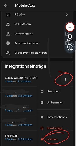 Screenshot_20250617_132157_Home Assistant
