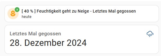 Screenshot 2024-12-28 165349