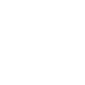 compass-rose-t10