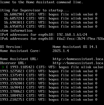 bogus file