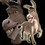 Martin_N Martin_N
